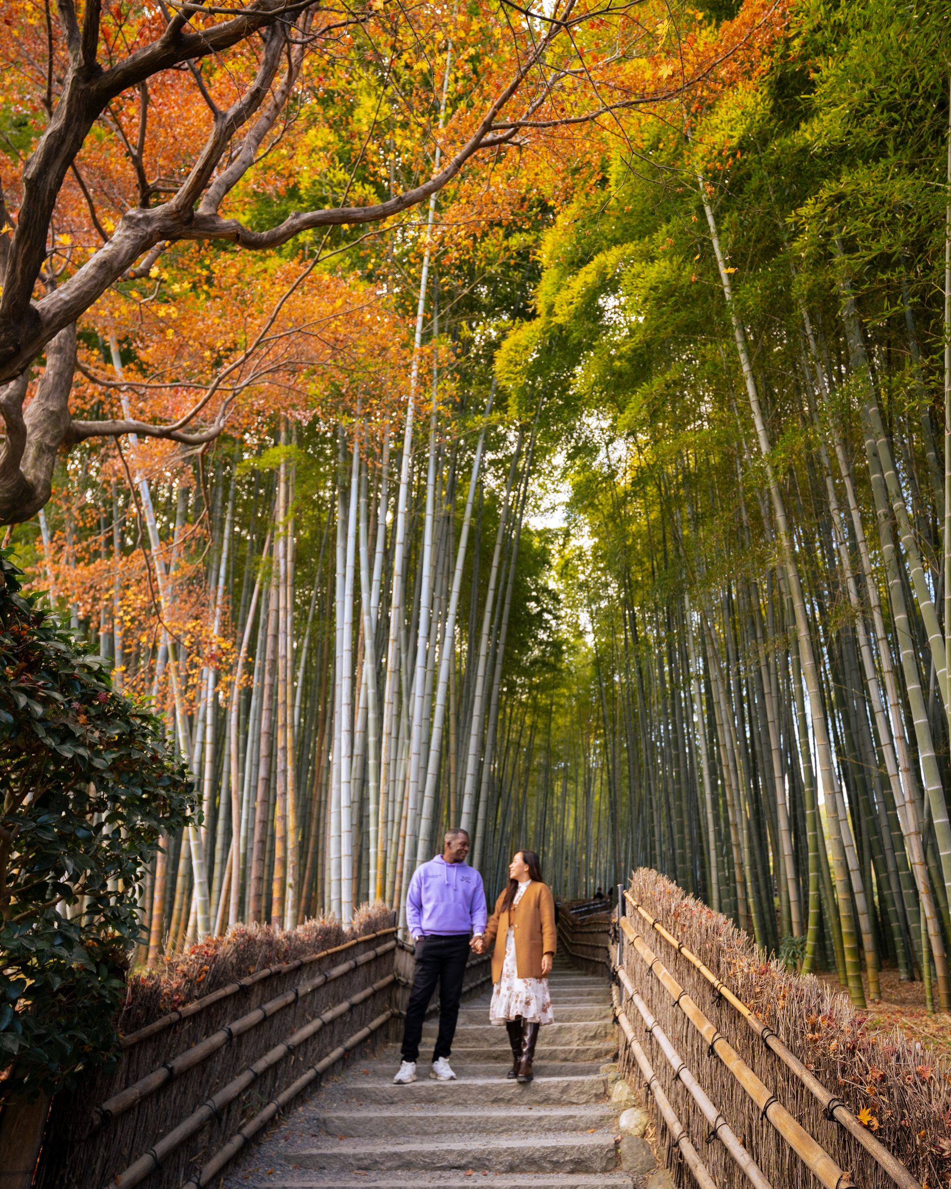 Bamboo forest path in Kyoto, Japan