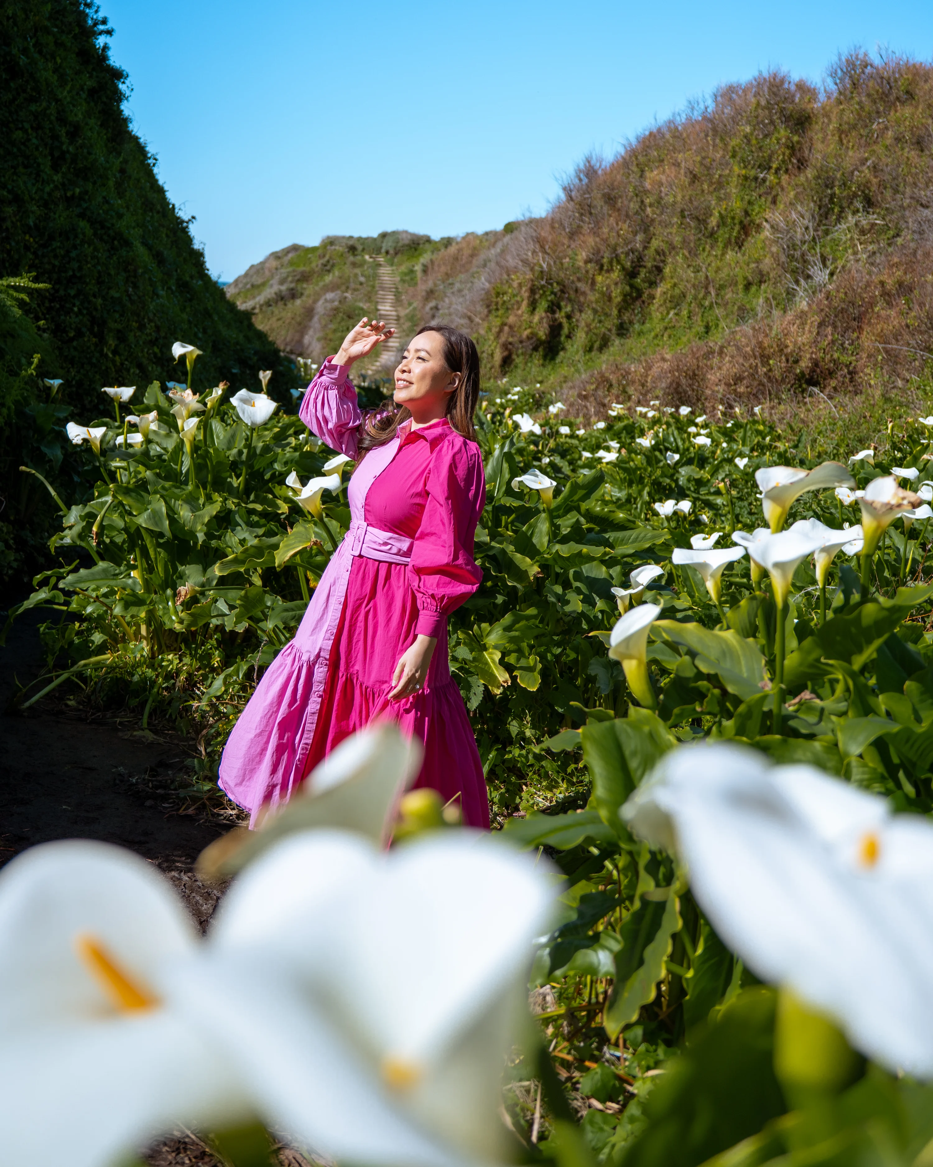 Calla Lily field in Carmel, California