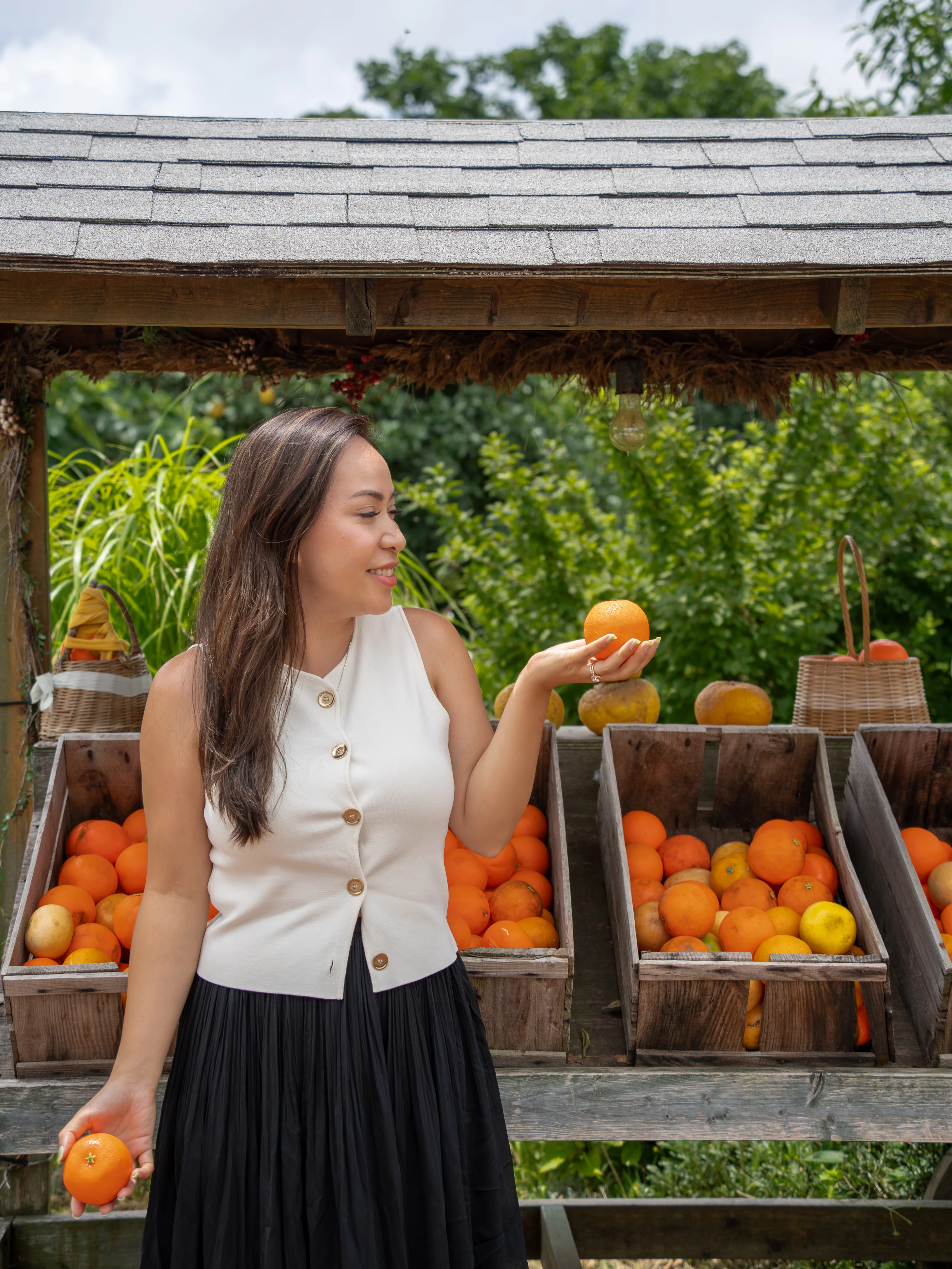 picking tangerines at a fruit farm on Jeju Island