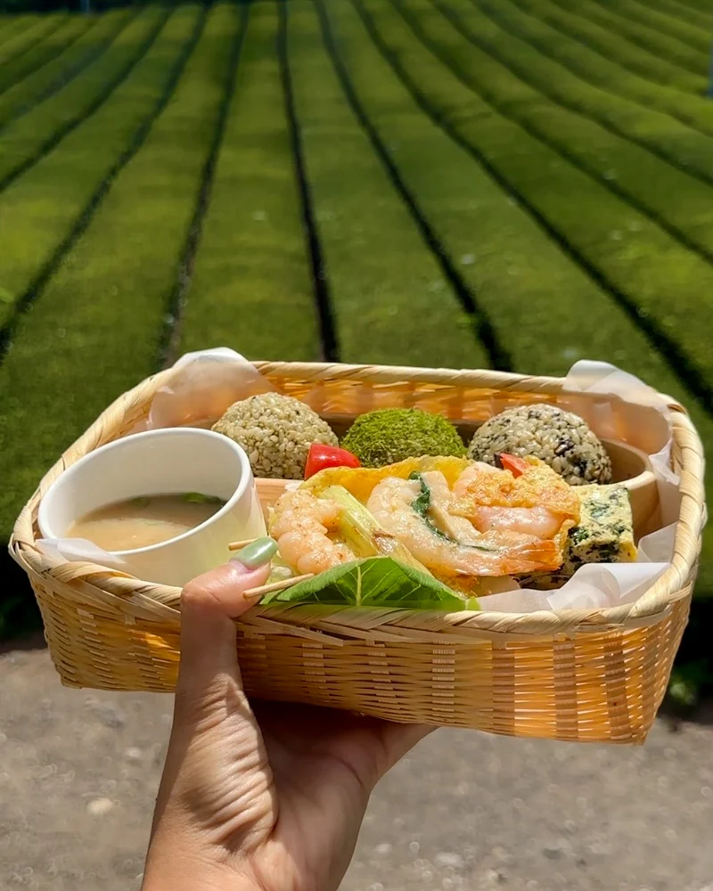 Cute lunch set at Innisfree Jeju House in South Korea
