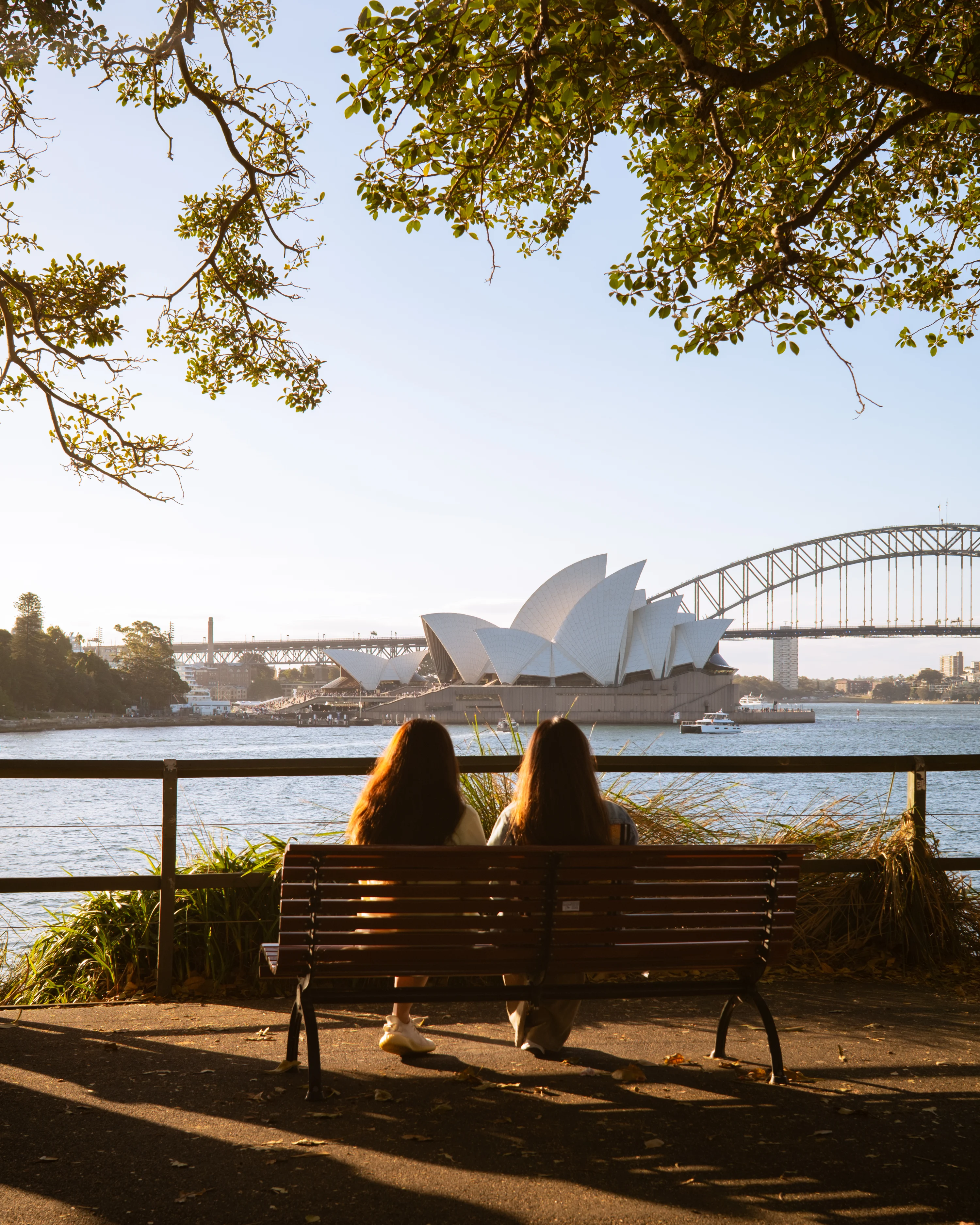 View of Sydney Opera House from a park in Australia