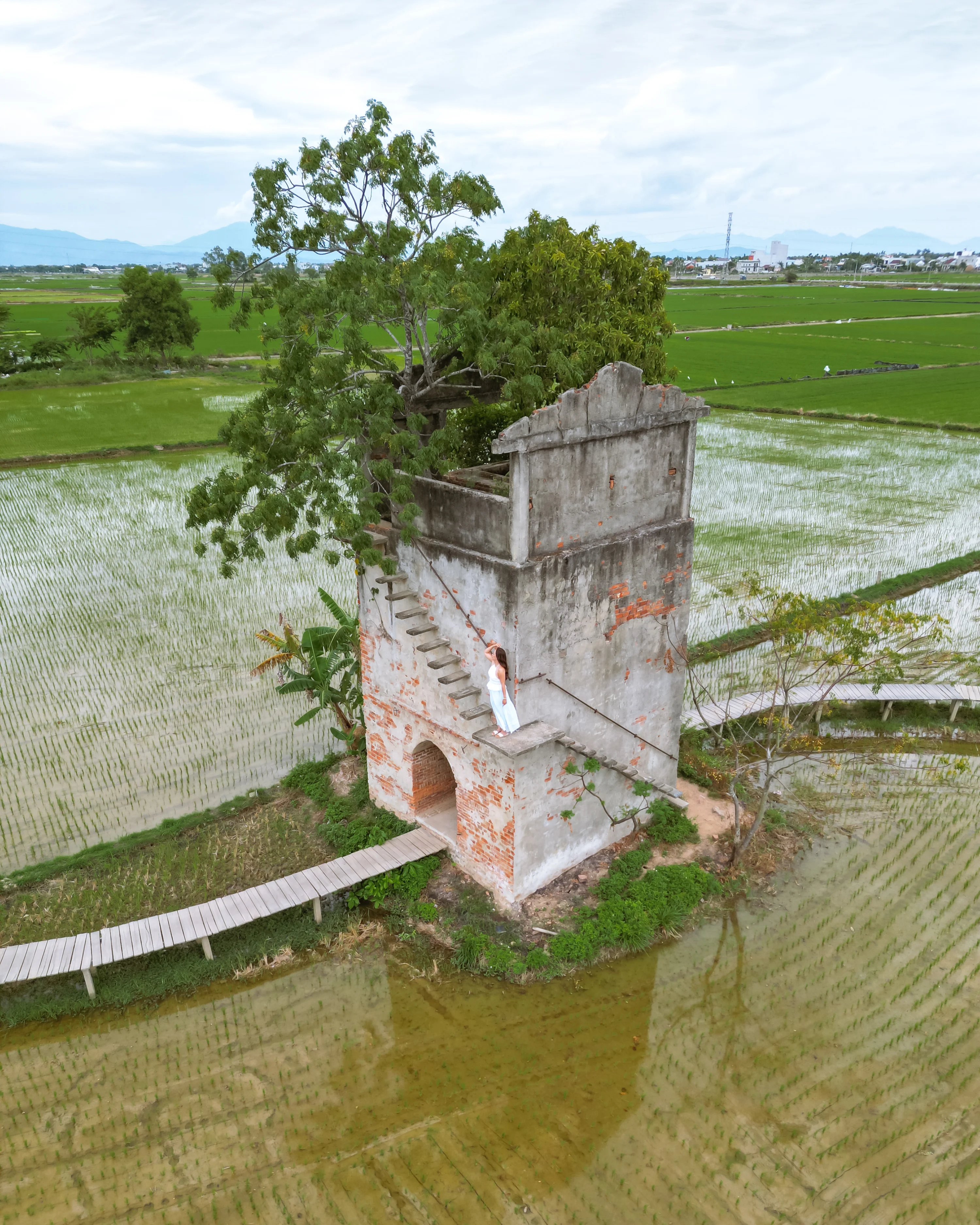 Aerial shot of rice fields in Hoi An, Vietnam