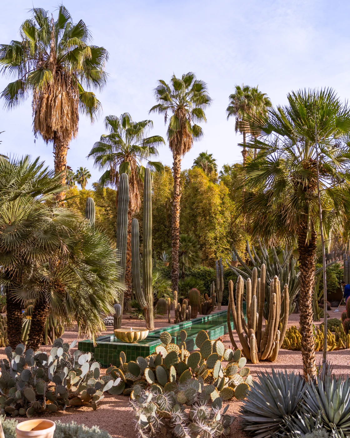 Jardin Majorelle in Marrakech, Morocco