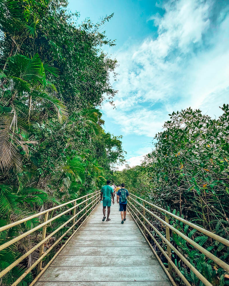 Manuel Antonio National Park