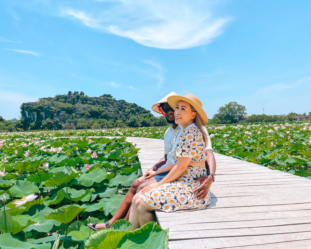 Lotus pond in Ninh Binh, Vietnam